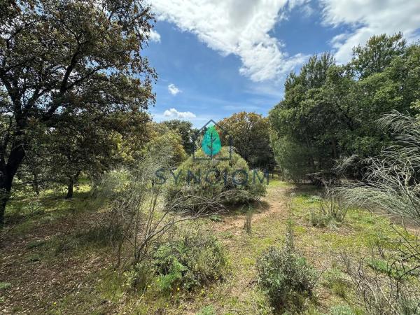 Terreno en calle Castillo de Almansa s/n