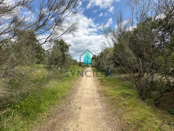 Terreno en calle Castillo de Almansa s/n