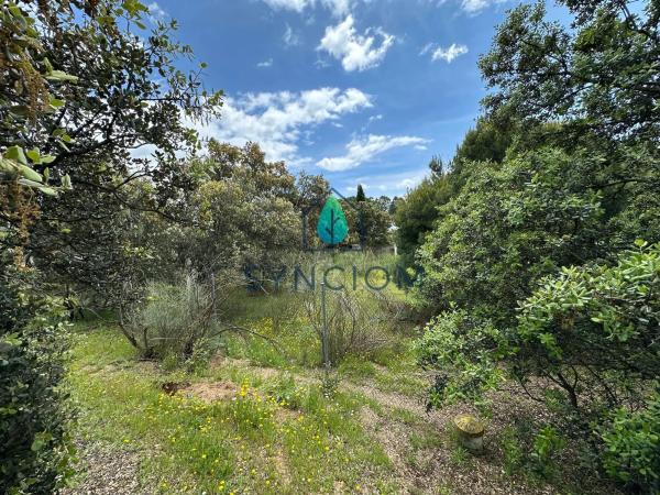 Terreno en calle Castillo de Almansa s/n