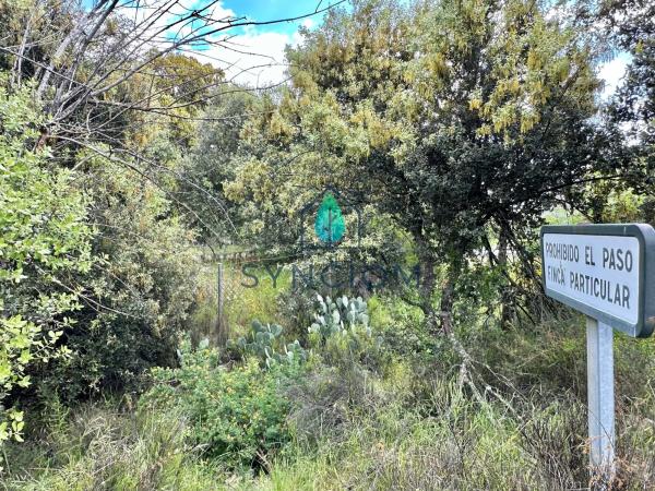 Terreno en calle Castillo de Almansa s/n