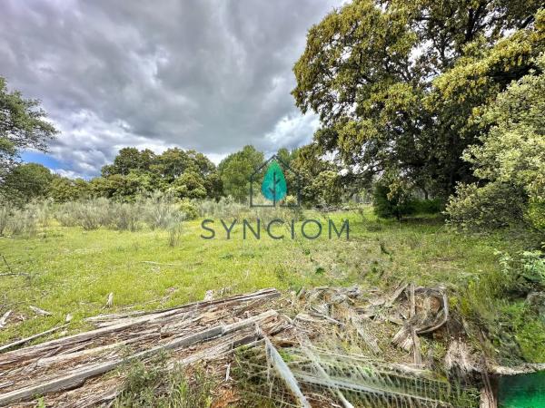 Terreno en calle Castillo de Almansa s/n