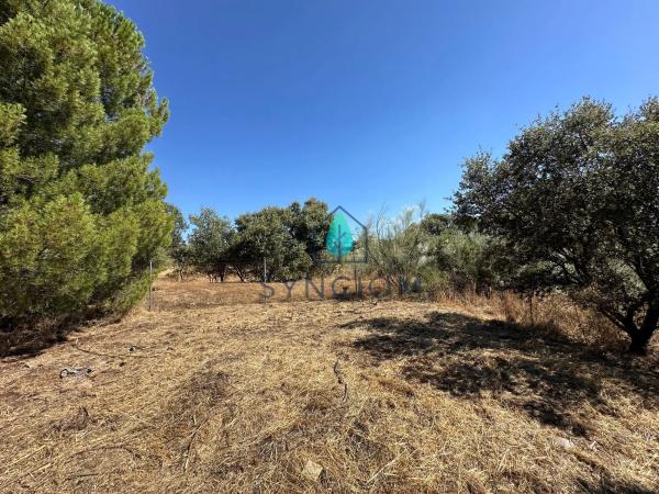 Terreno en calle Castillo de Turégano, 1