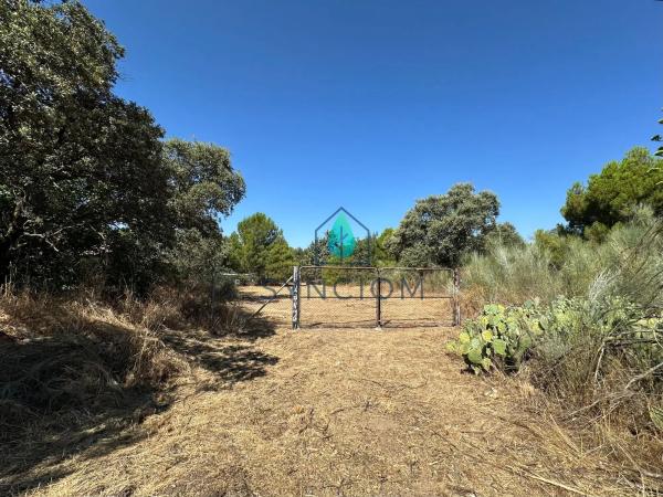 Terreno en calle Castillo de Turégano, 1