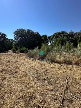 Terreno en calle Castillo de Turégano, 1