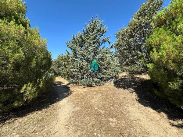 Terreno en calle Castillo de Turégano, 1