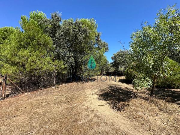 Terreno en calle Castillo de Turégano, 1