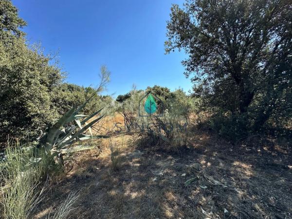 Terreno en calle Castillo de Turégano, 1