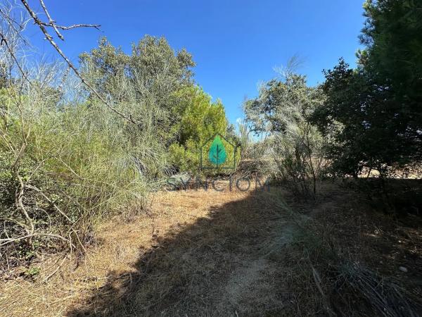 Terreno en calle Castillo de Turégano, 1