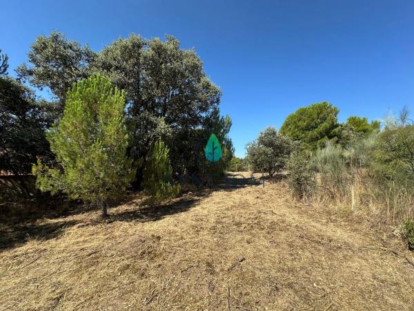 Terreno en calle Castillo de Turégano, 1