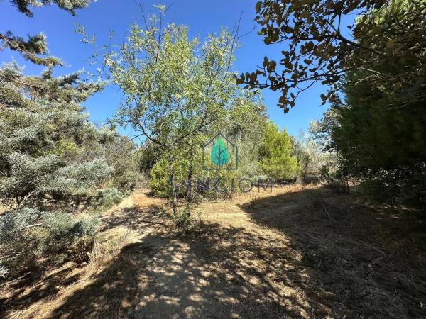 Terreno en calle Castillo de Turégano, 1