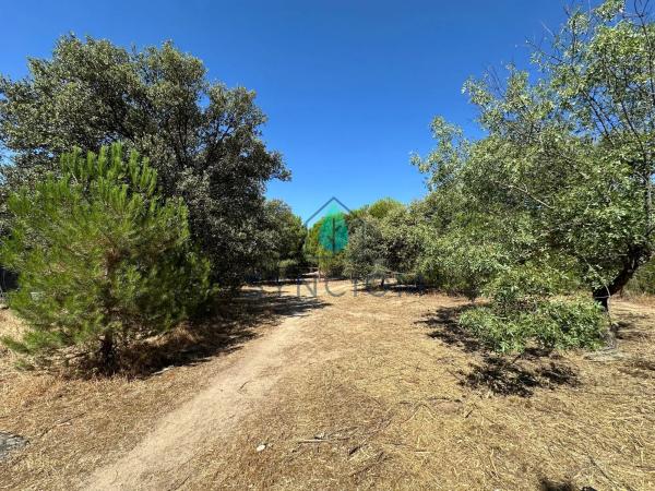 Terreno en calle Castillo de Turégano, 1