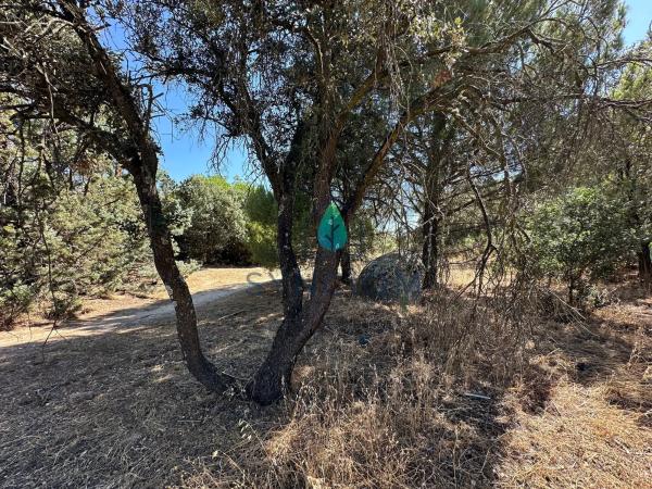 Terreno en calle Castillo de Turégano, 1