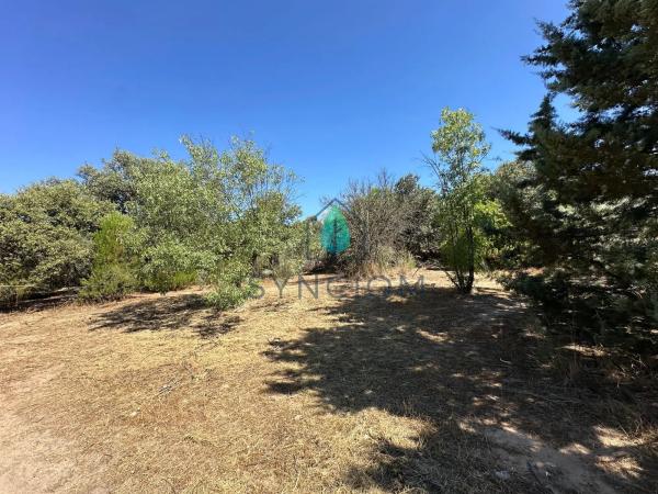 Terreno en calle Castillo de Turégano, 1