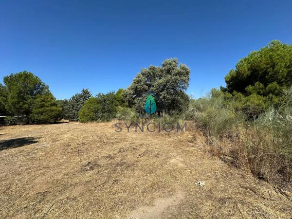 Terreno en calle Castillo de Turégano, 1
