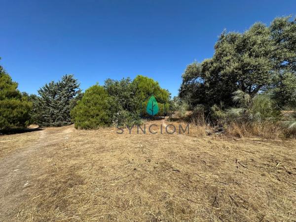 Terreno en calle Castillo de Turégano, 1