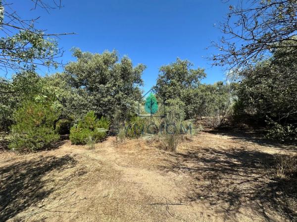Terreno en calle Castillo de Turégano, 1