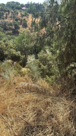 Terreno en Puerto de la canda13, 13