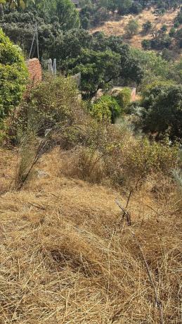 Terreno en Puerto de la canda13, 13