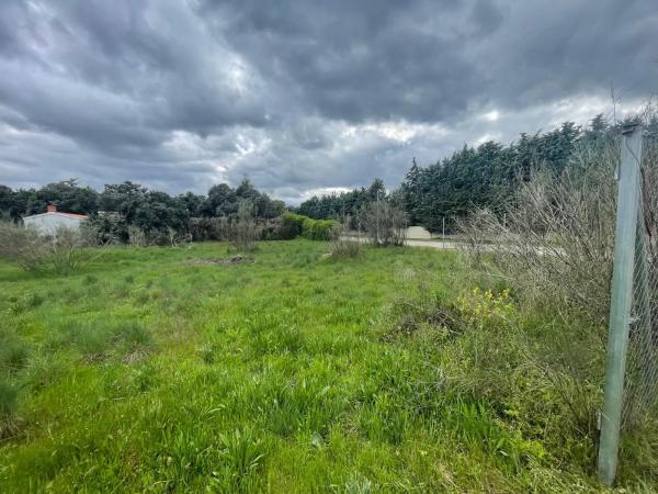 Terreno en calle Río Ter, 5 -3