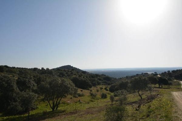 Terreno en Pino Alto - Navarredonda