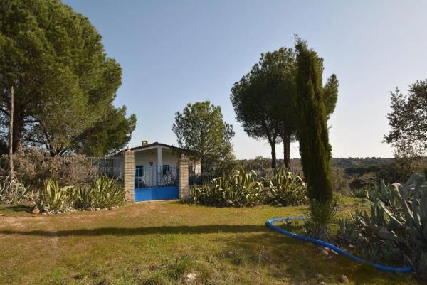 Terreno en Pino Alto - Navarredonda