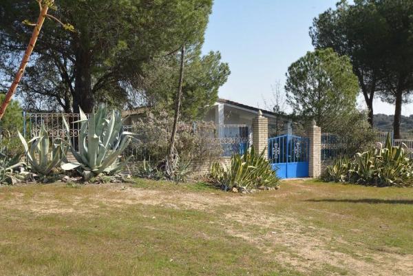 Terreno en Pino Alto - Navarredonda