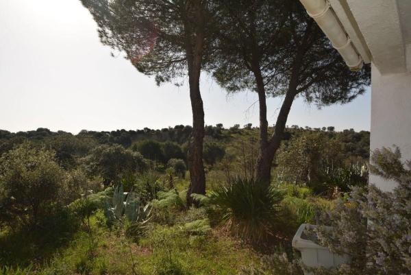 Terreno en Pino Alto - Navarredonda