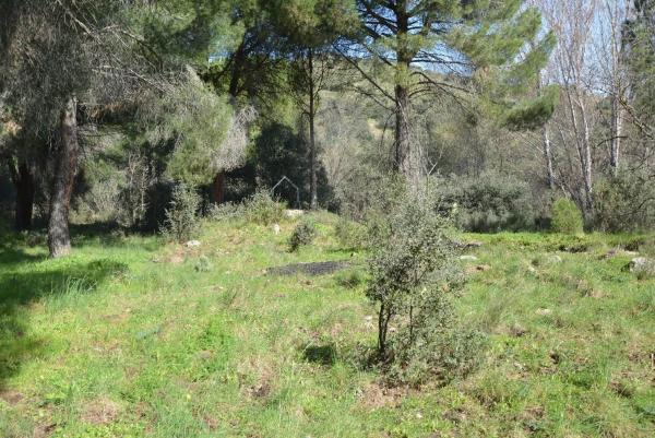 Terreno en Pino Alto - Navarredonda