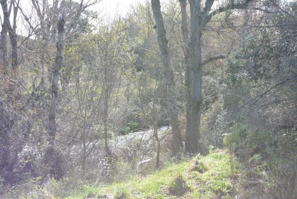 Terreno en Pino Alto - Navarredonda