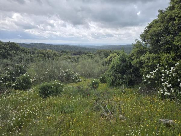 Terreno en Mojadillas - Parque de las Infantas - El Paraiso