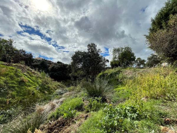Terreno en calle Puerto de Arlaban, 40