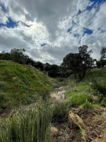 Terreno en calle Puerto de Arlaban, 40