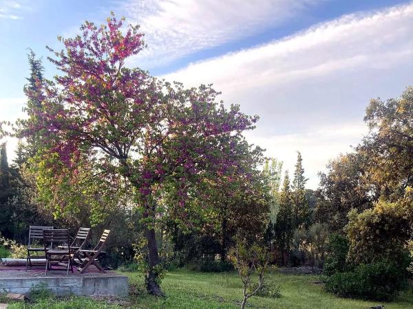 Terreno en calle Encina del Mirador