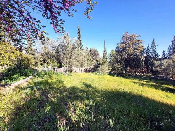 Terreno en calle Encina del Mirador