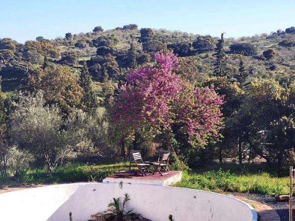 Terreno en calle Encina del Mirador