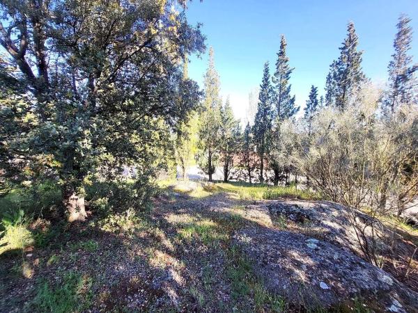 Terreno en calle Encina del Mirador