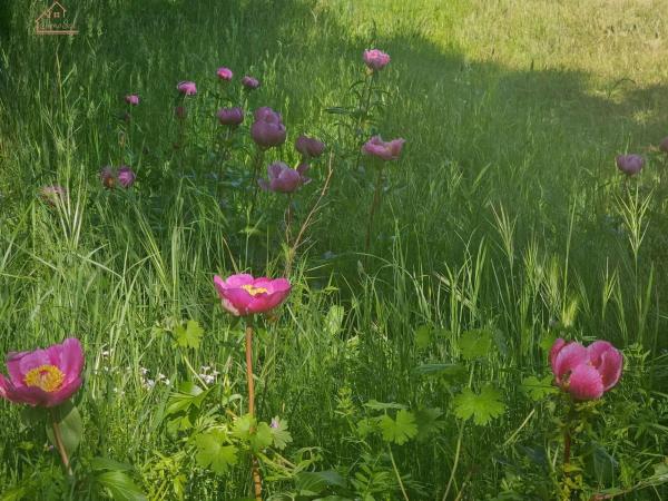 Terreno en Mojadillas - Parque de las Infantas - El Paraiso