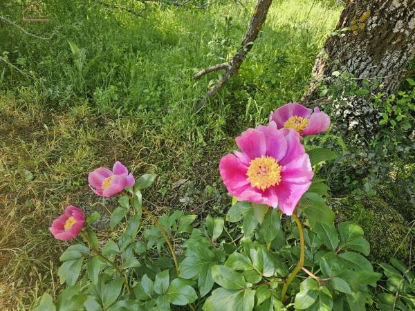 Terreno en Mojadillas - Parque de las Infantas - El Paraiso