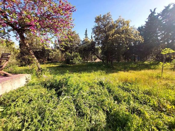 Terreno en calle Encina del Mirador