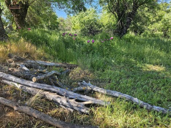 Terreno en Mojadillas - Parque de las Infantas - El Paraiso
