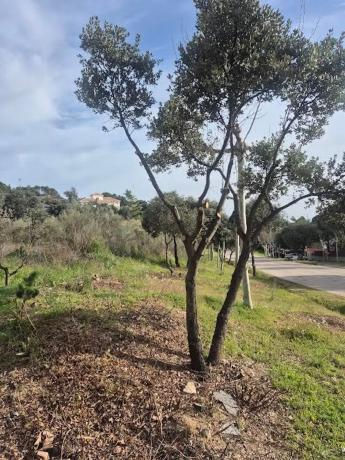 Terreno en Cerro Alarcón