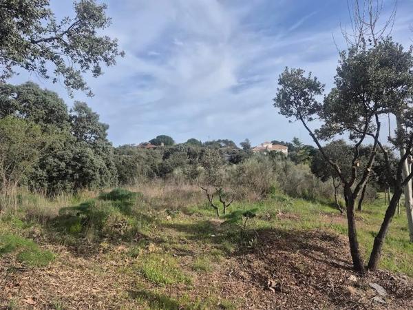 Terreno en Cerro Alarcón