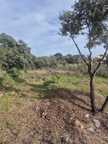 Terreno en Cerro Alarcón