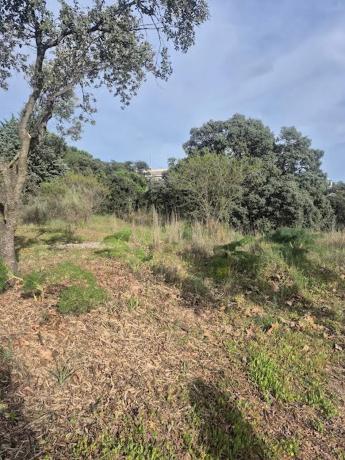 Terreno en Cerro Alarcón