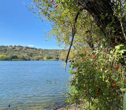 Terreno en Cerro Alarcón