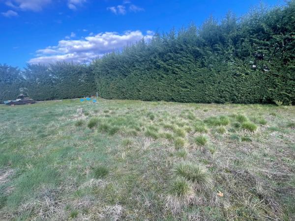 Terreno en calle Flor de las Magnolias, 48