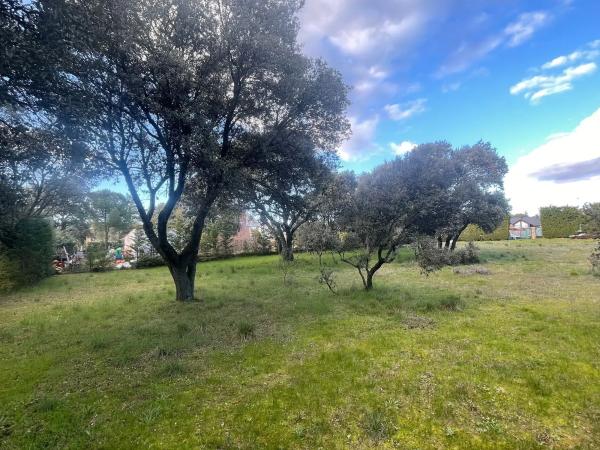 Terreno en calle Flor de las Magnolias, 48