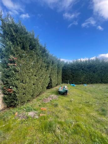 Terreno en calle Flor de las Magnolias, 48