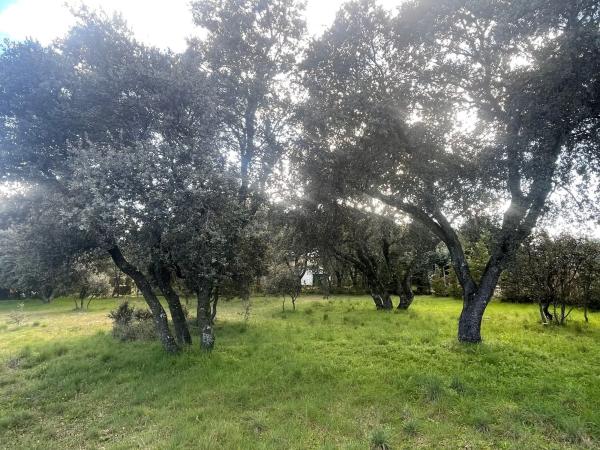 Terreno en calle Flor de las Magnolias, 48