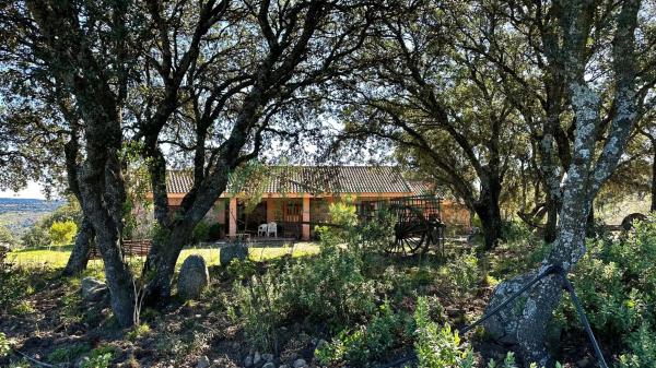 Terreno en calle Ebro